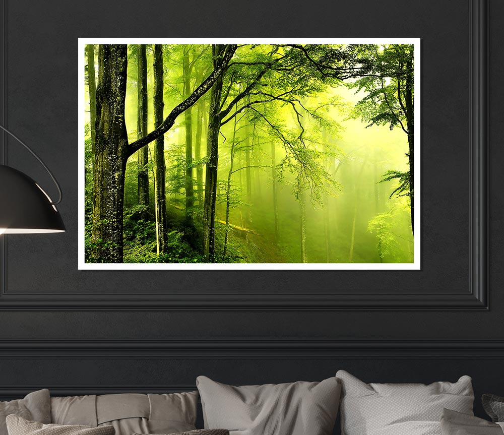 Beautiful Green Forest Print Poster Wall Art