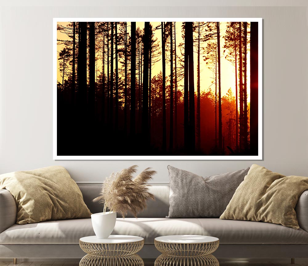 Forest Sunset Print Poster Wall Art
