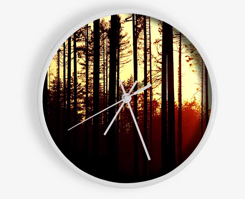 Forest Sunset Clock - Wallart-Direct UK