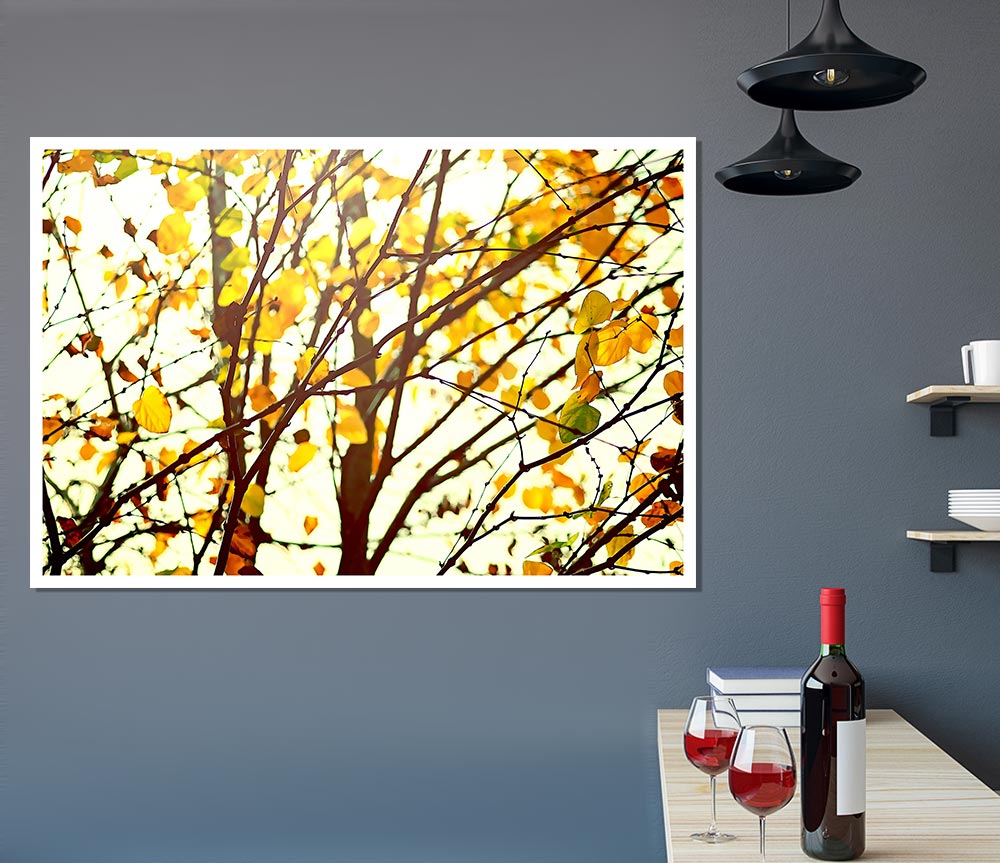 Light In The Forest Print Poster Wall Art