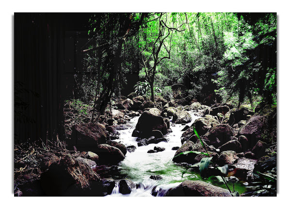 Regenwald-Bach