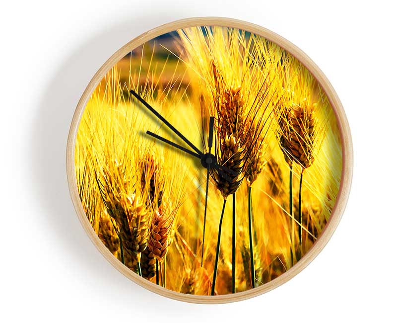 Wheat Field Near The Forest Clock - Wallart-Direct UK