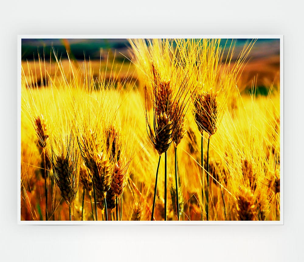 Wheat Field Near The Forest Print Poster Wall Art