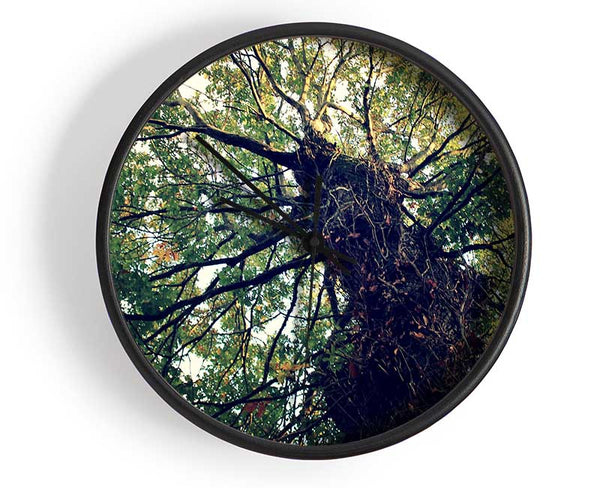 Ancient Forest Tree Clock - Wallart-Direct UK