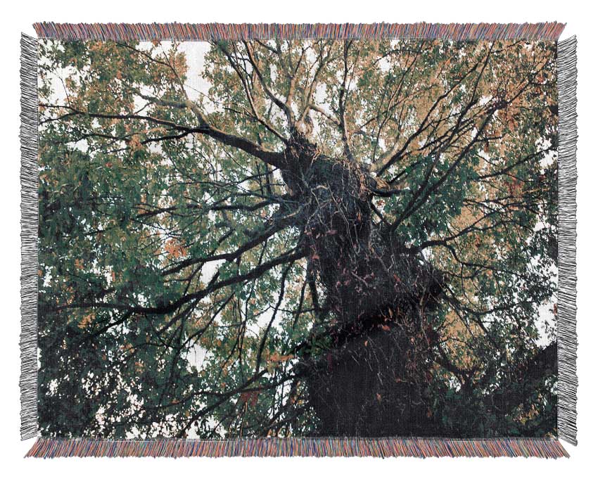 Ancient Forest Tree Woven Blanket