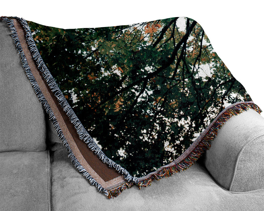 Ancient Forest Tree Woven Blanket