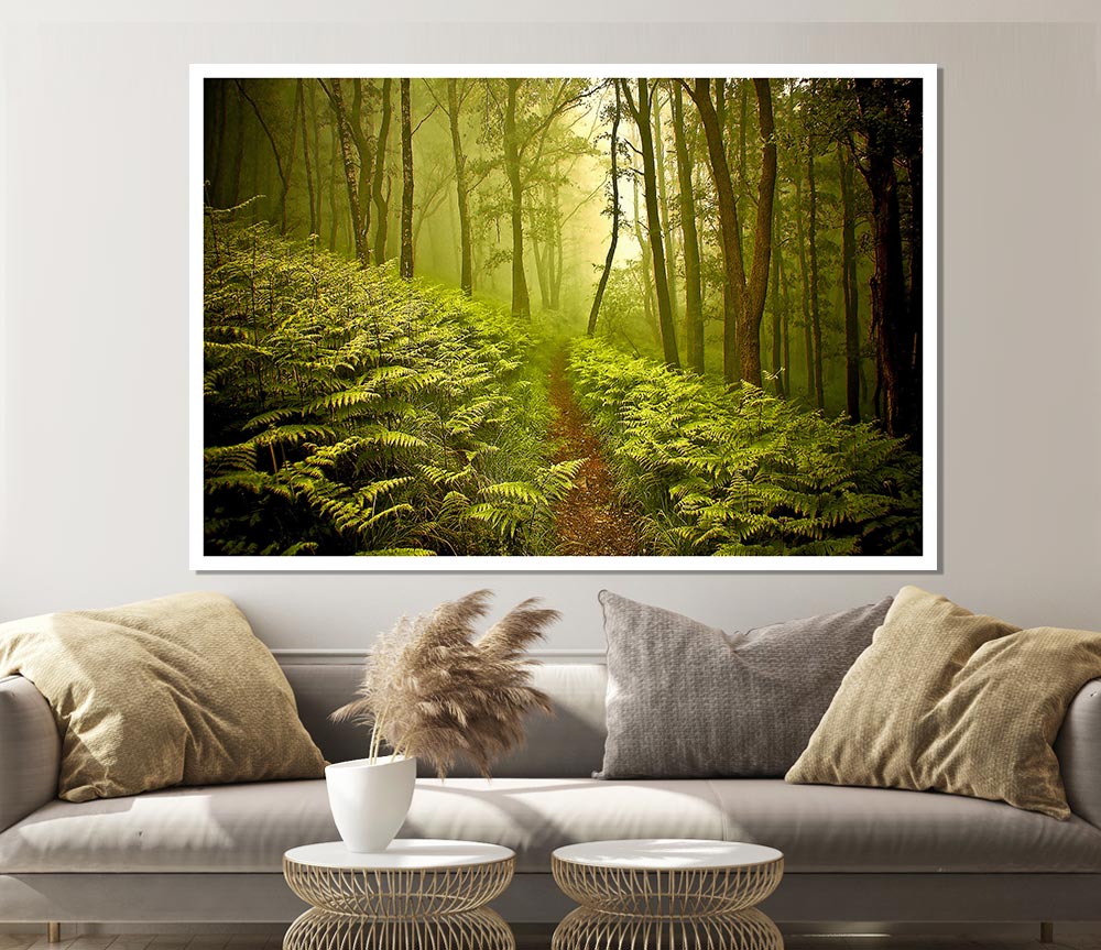 Green Forest Path Print Poster Wall Art