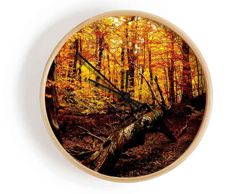 Autumn Forest Seat Clock - Wallart-Direct UK