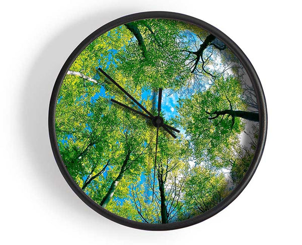 Forest Sky View Clock - Wallart-Direct UK