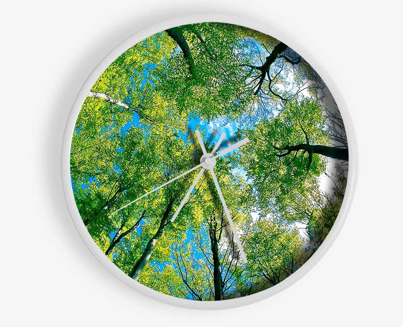 Forest Sky View Clock - Wallart-Direct UK