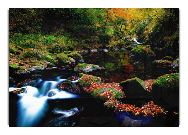 Herbst Wald Fluss