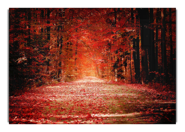 Herbststraße 1