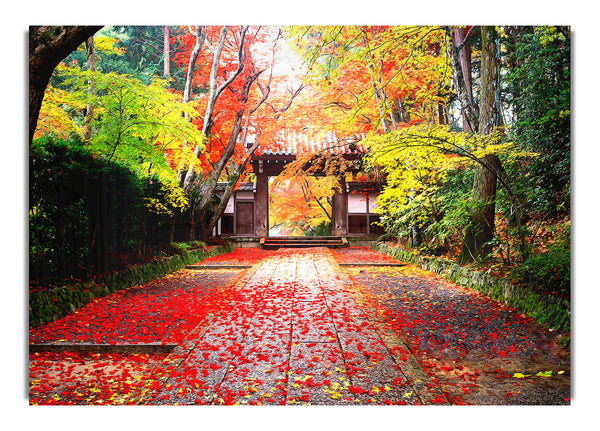 Herbst in Japan