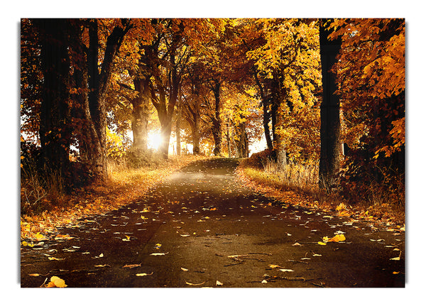 Herbstbrise