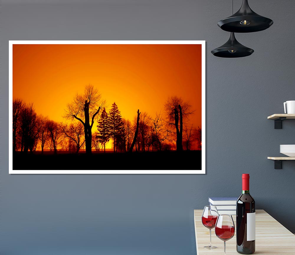 The Forest Aglow Print Poster Wall Art
