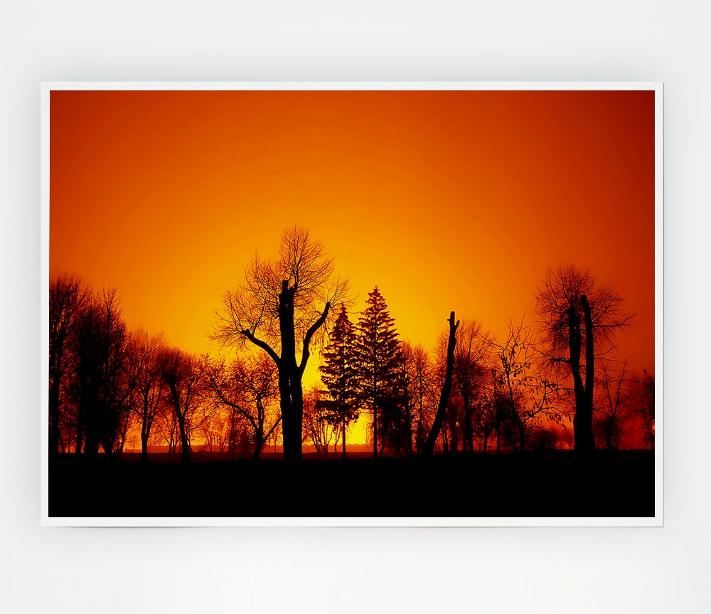 The Forest Aglow Print Poster Wall Art
