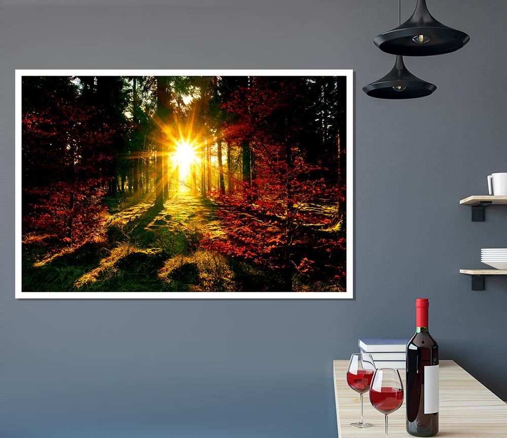 The Beaming Forest Sun Print Poster Wall Art