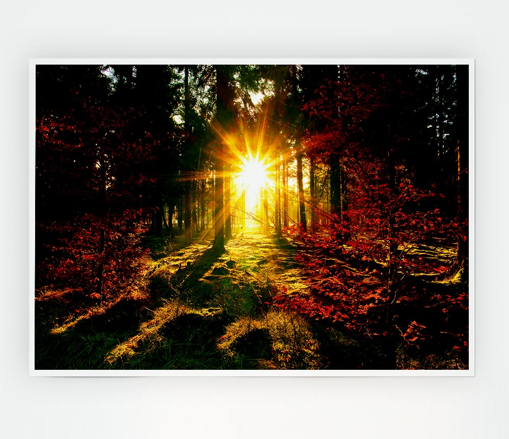 The Beaming Forest Sun Print Poster Wall Art