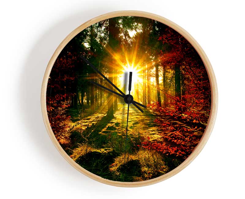 The Beaming Forest Sun Clock - Wallart-Direct UK
