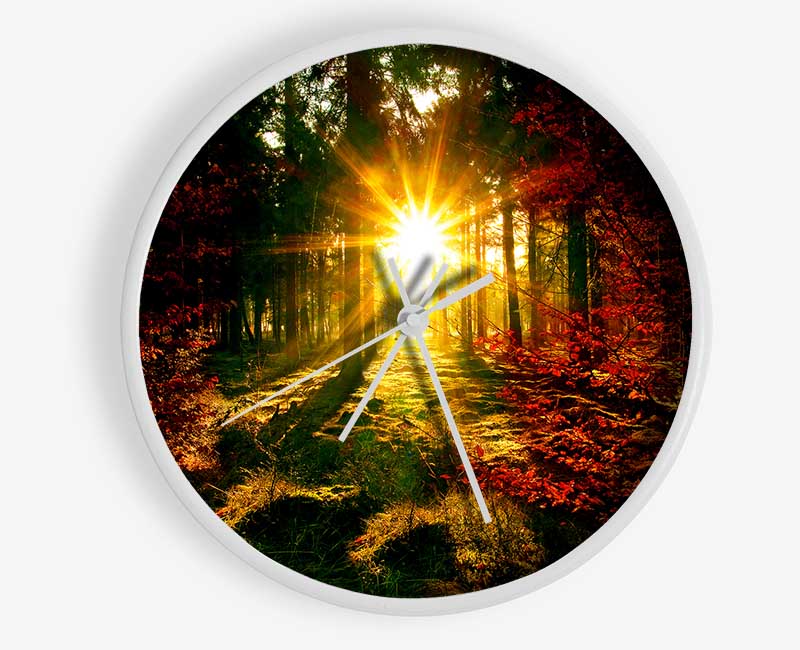 The Beaming Forest Sun Clock - Wallart-Direct UK