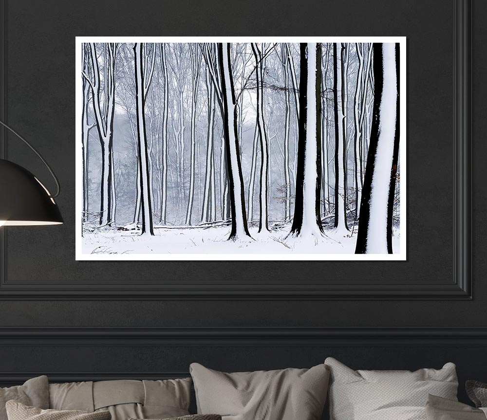Forest Snow Trees Print Poster Wall Art