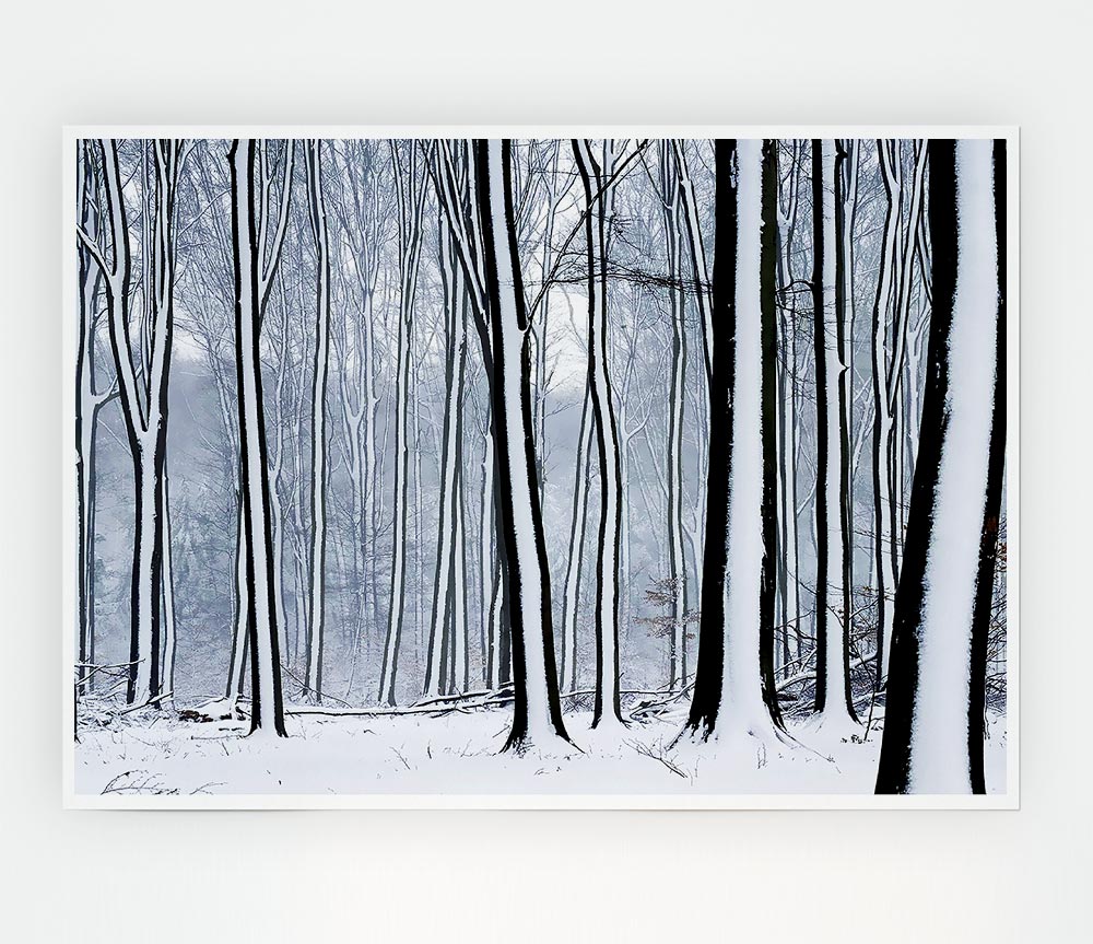 Forest Snow Trees Print Poster Wall Art