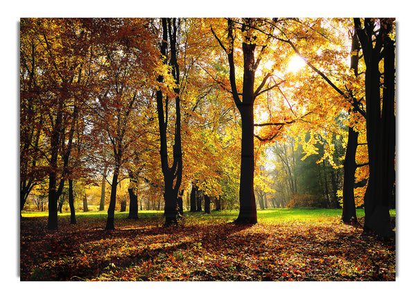 Herbstsaison