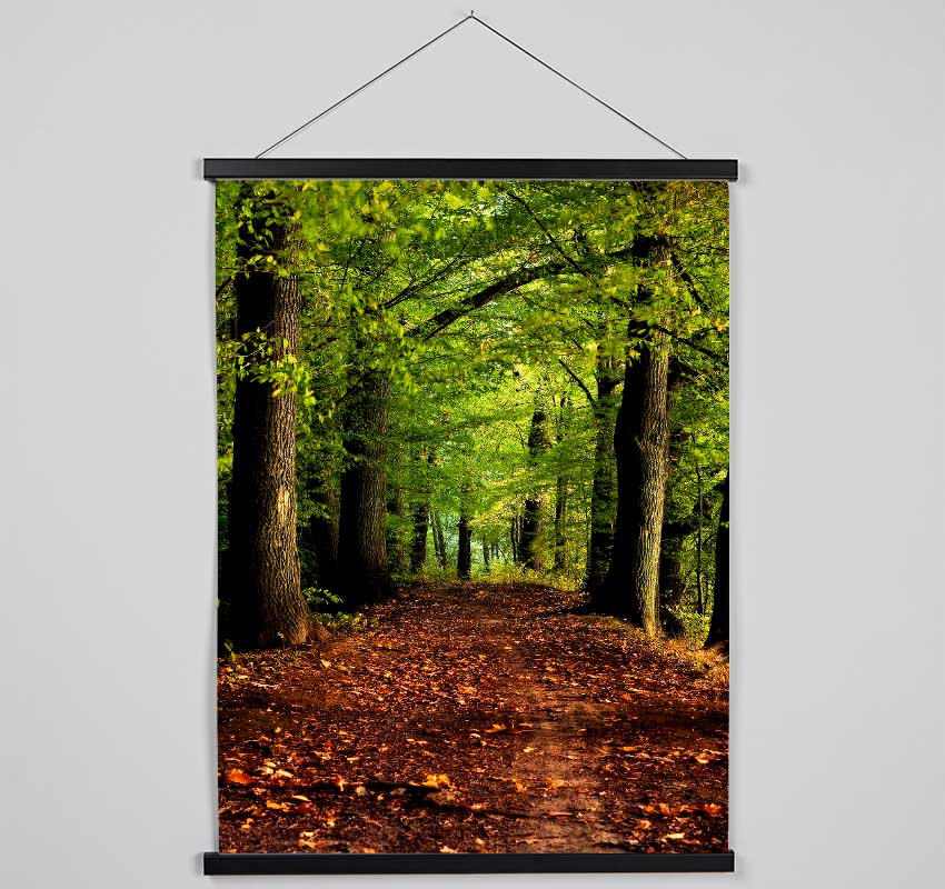 Woodland Path Walk Hanging Poster - Wallart-Direct UK