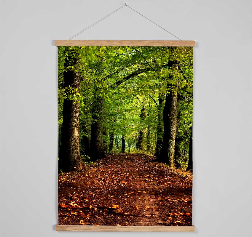 Woodland Path Walk Hanging Poster - Wallart-Direct UK