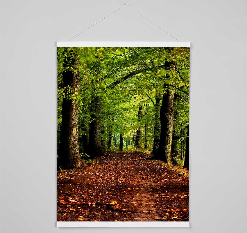 Woodland Path Walk Hanging Poster - Wallart-Direct UK