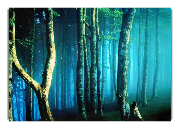 Mitternachtsblauer Wald