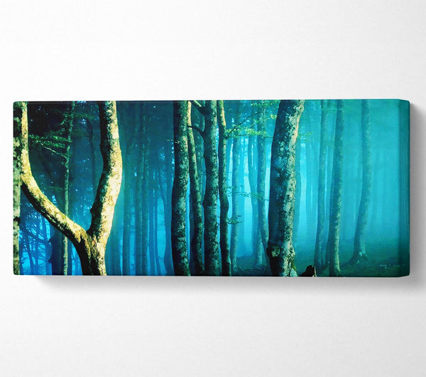 Mitternachtsblauer Wald