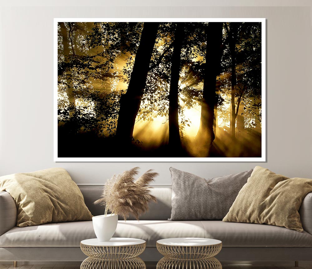 Golden Sun Beam Forest Print Poster Wall Art
