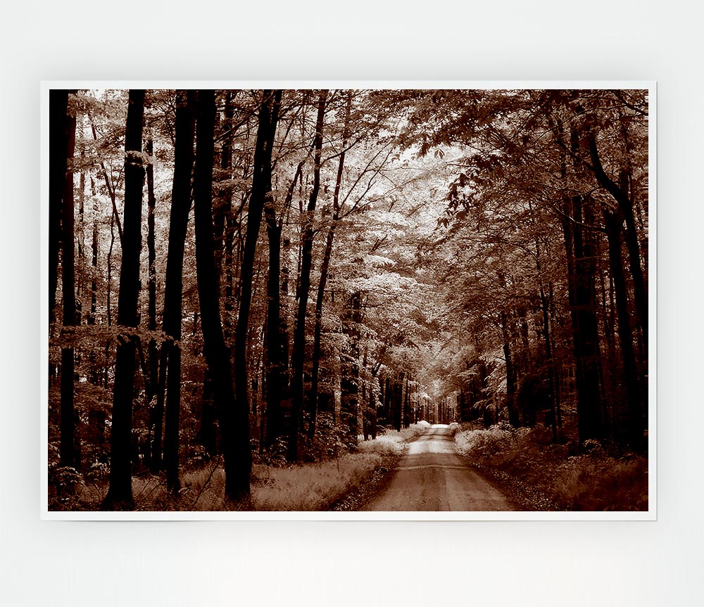 The Brown Forest Road Print Poster Wall Art