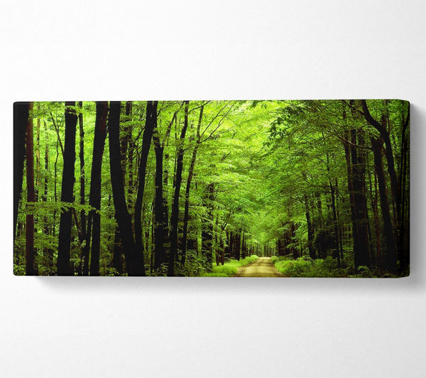 Green Tree Road