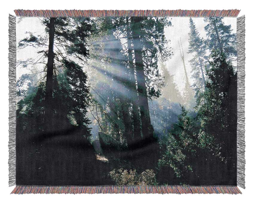 Sunbeams Through The Green Forest Woven Blanket