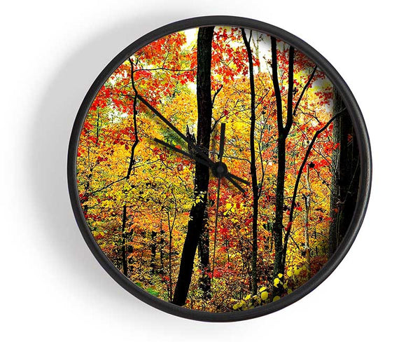 The Rainbow Of The Autumn Forest Clock - Wallart-Direct UK