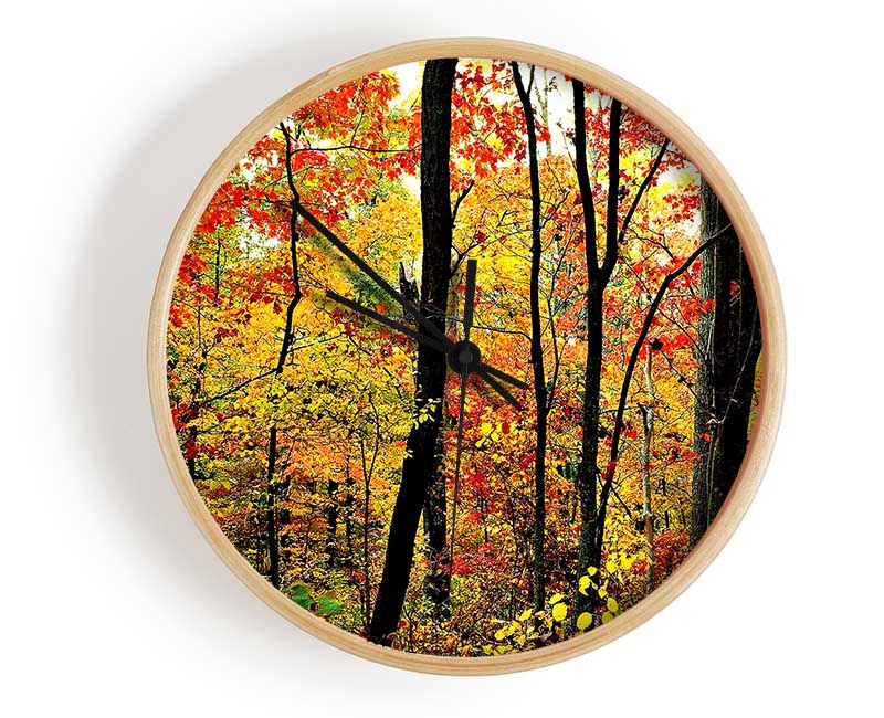 The Rainbow Of The Autumn Forest Clock - Wallart-Direct UK