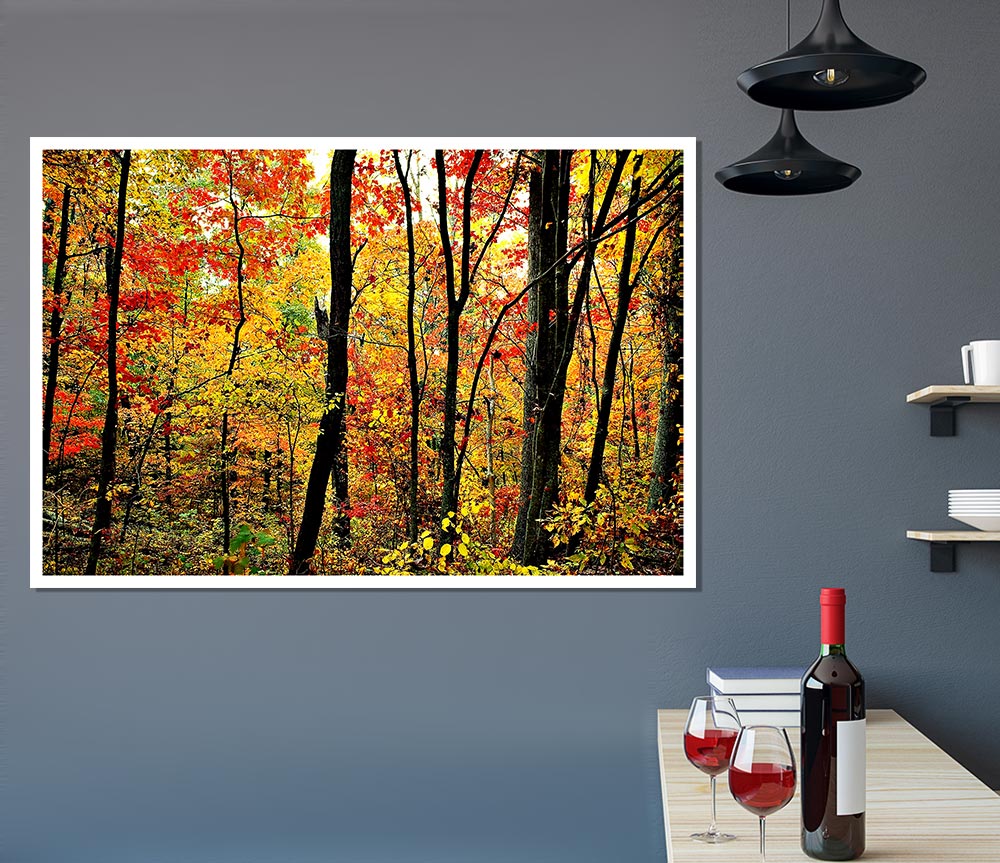 The Rainbow Of The Autumn Forest Print Poster Wall Art