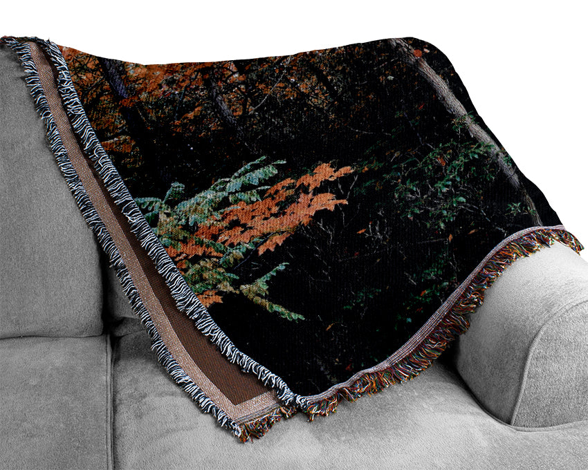 Stunning Colourful Autumn Forest Woven Blanket