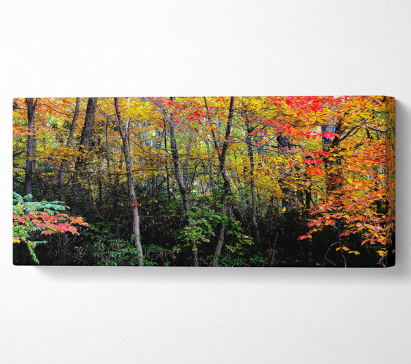 Atemberaubender bunter Herbstwald