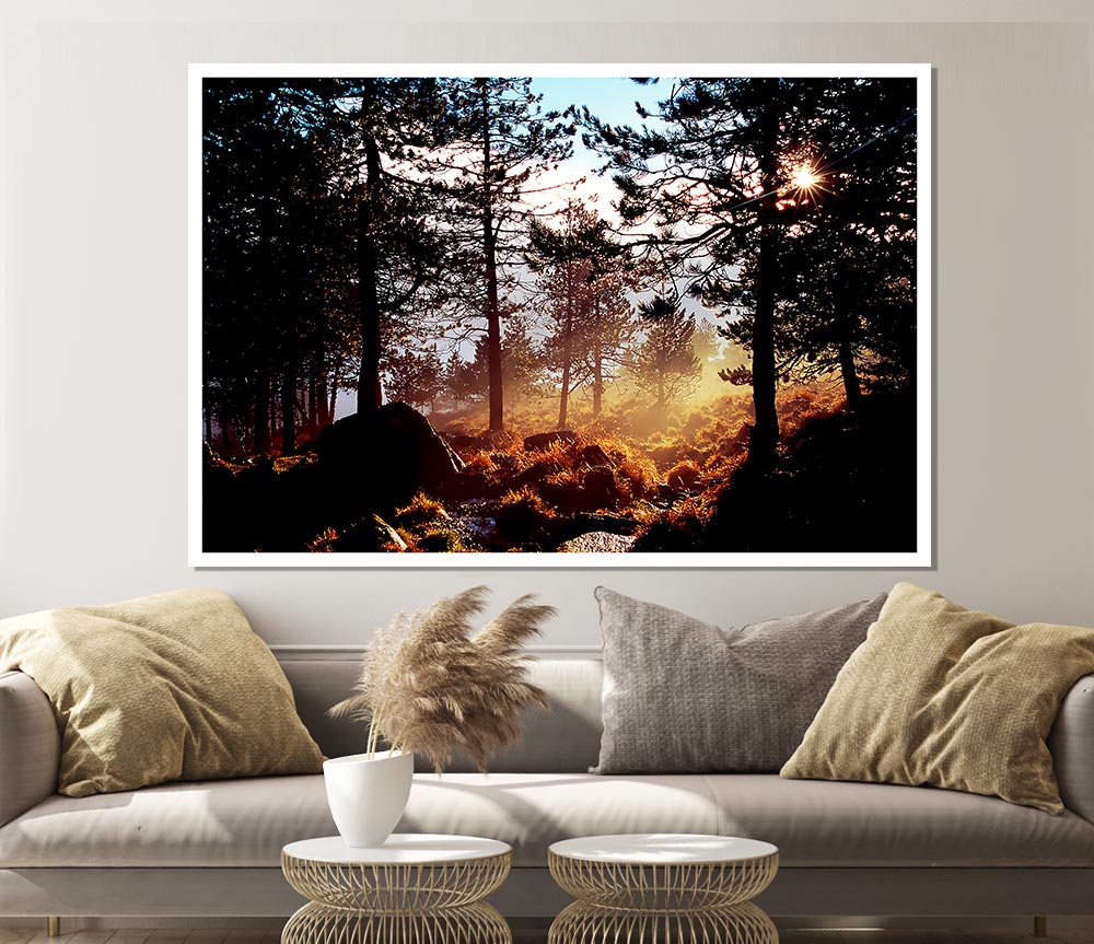 Day Break In The Forest Print Poster Wall Art