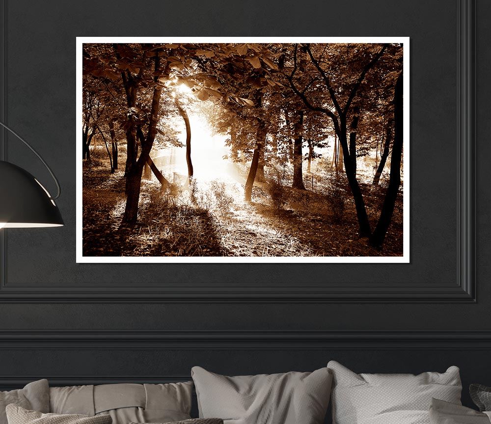 Cocoa Sunbeam Forest Print Poster Wall Art