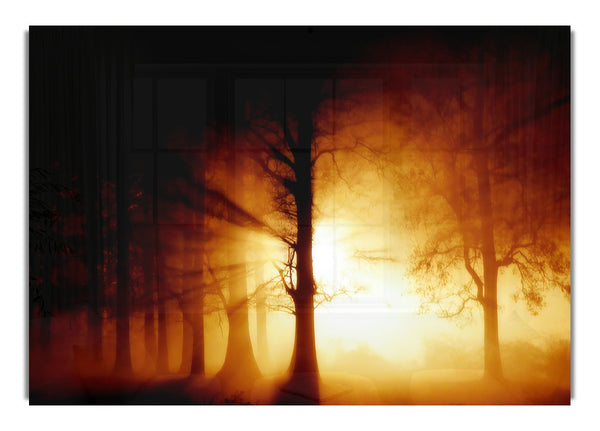 Magisches Waldlicht