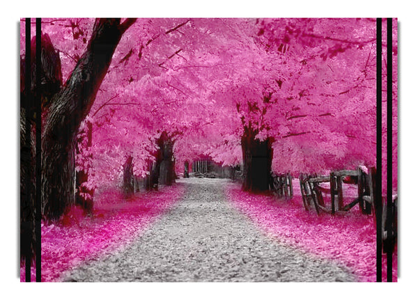 Pink Blossom Forest Fantasy