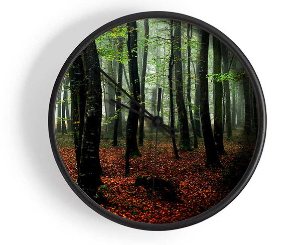 Emerald Forest Hide Away Clock - Wallart-Direct UK