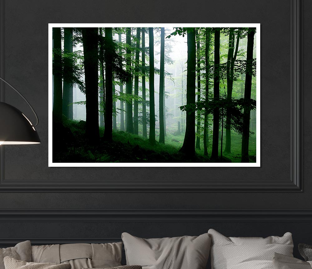 Emerald Forest Mist Print Poster Wall Art