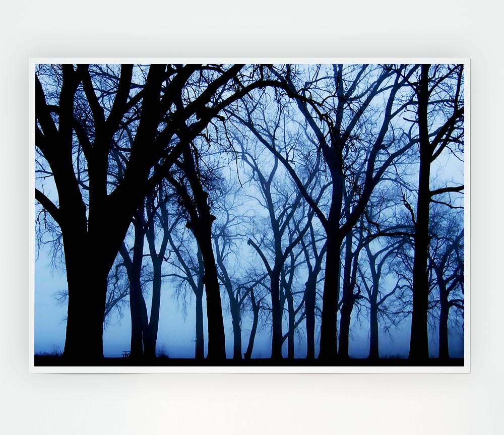 Blue Night Forest Print Poster Wall Art