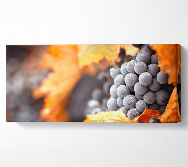 Grapes