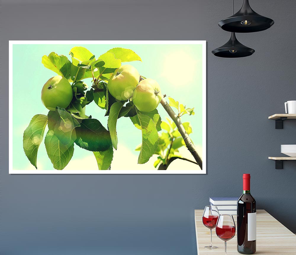 Apple Tree Print Poster Wall Art